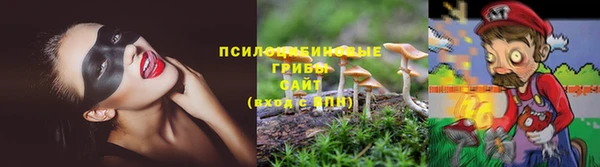 mdma Абаза