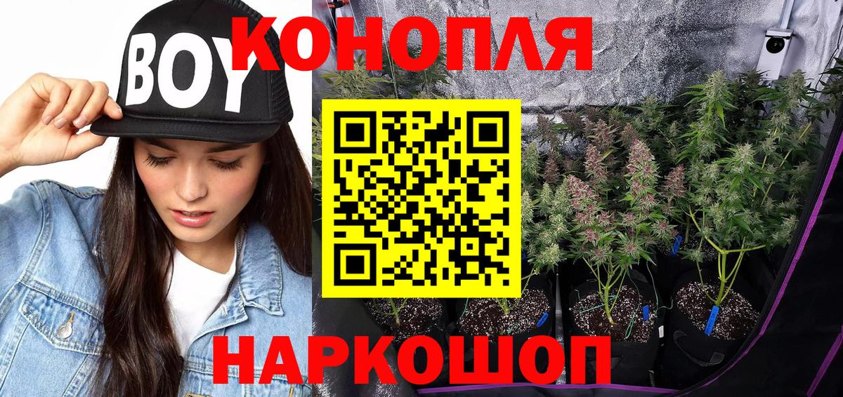 Конопля индика  Бошки марихуана семена  Марихуана Amnesia  Вход с VPN  Барнаул  Бошки Шишки Amnesia 